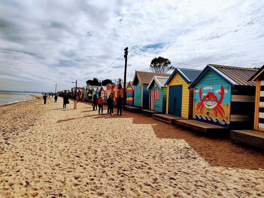 Melbourne: Moonlit Sanctuary and Brighton Beach Boxes Tour - Who This Tour Fits Best (And Who Might Want Another Option)