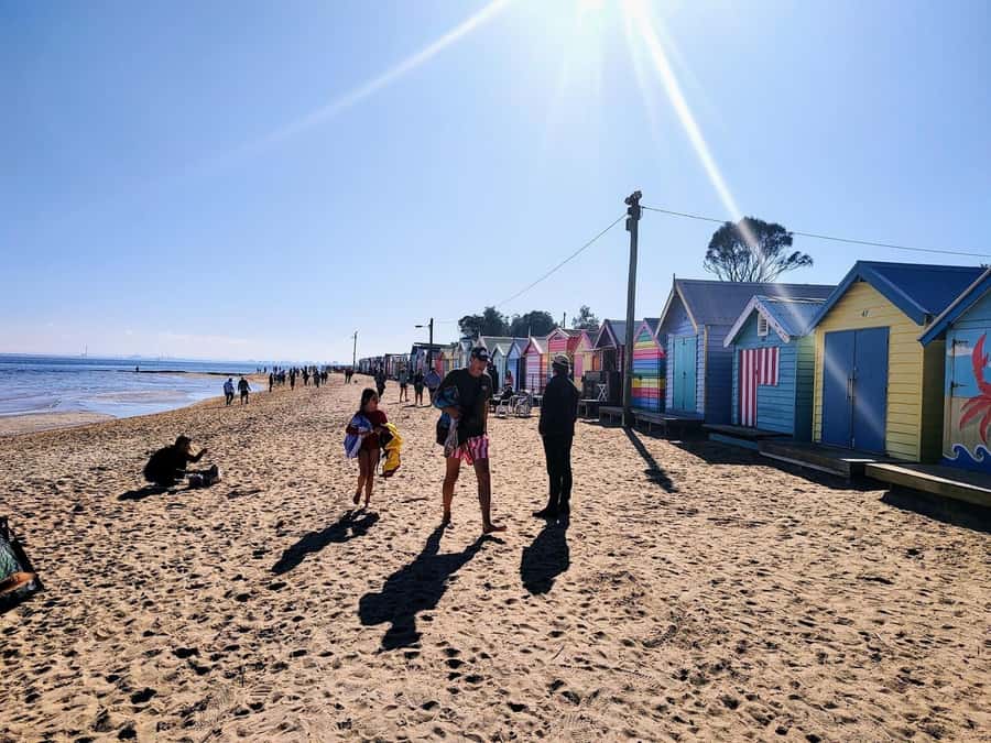Melbourne: Moonlit Sanctuary and Brighton Beach Boxes Tour - Pickup Timing and the Smooth Van Rhythm Out of Melbourne