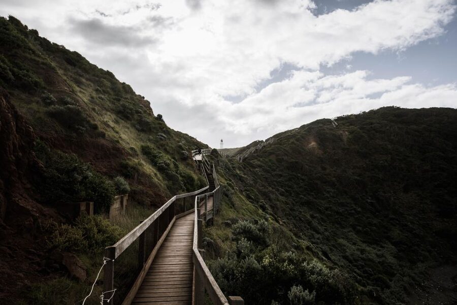 Melbourne: Mornington Peninsula & Hot Springs Tour 8 pax max - Quick hits: what makes this tour worth your morning