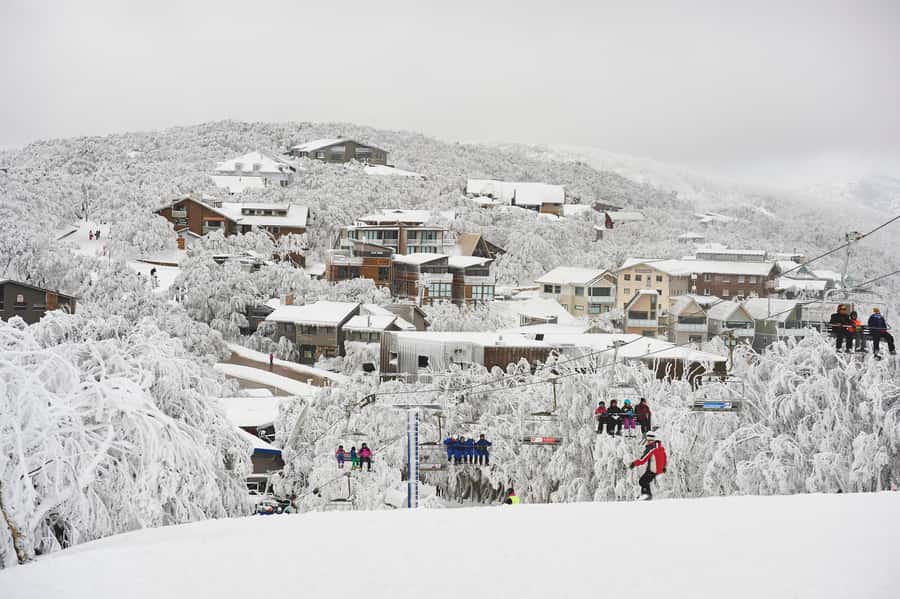 Melbourne: Mt Buller Snow Tour-Save on Hire & True 5 Hrs Fun - Who this Mt Buller snow tour fits best