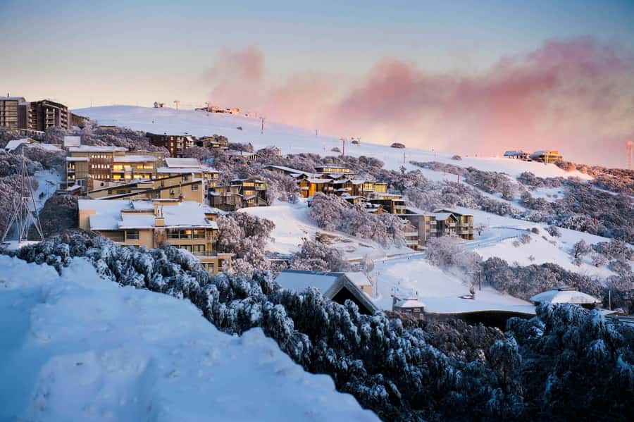 Melbourne: Mt Buller Snowy Escape Trip - 6 Hours of Snow Fun - Quick Hits Before You Go: Mt Buller Snow Day Essentials