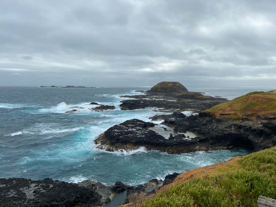 Melbourne: Phillip Island Tour & Penguin Parade - Tour guide quality: why names matter for this itinerary