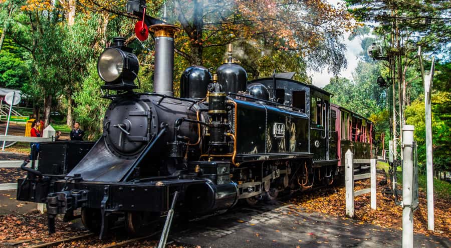 Melbourne: Puffing Billy & Healesville Sanctuary Scenic Tour - Before you go: what to pack, and what to skip