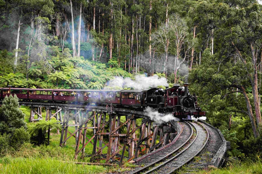 Melbourne: Puffing Billy Railway & Penguin Parade Day Tour - Key Things You Should Know Before You Go