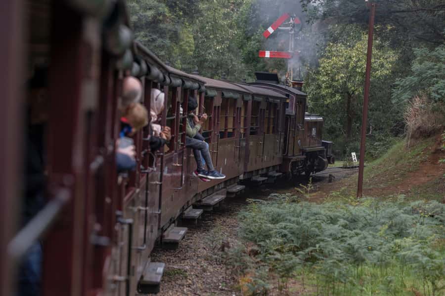 Melbourne: Puffing Billy Railway & Penguin Parade Day Tour - Penguin Parade at sunset: the little penguins’ homecoming