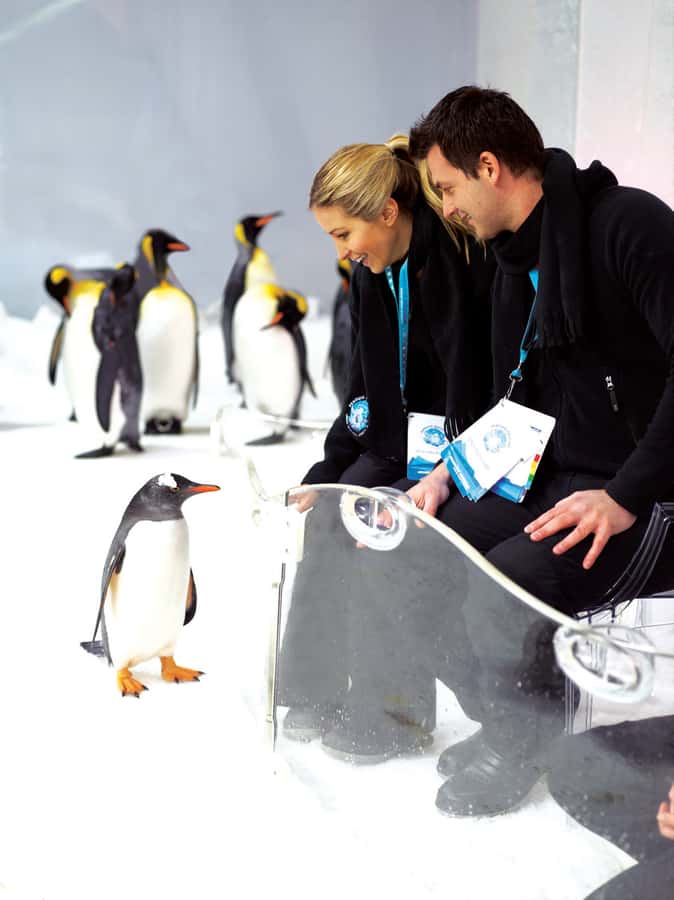 Melbourne: SEA LIFE Aquarium Entrance Ticket - Where SEA LIFE Melbourne Fits Into a Perfect CBD Day
