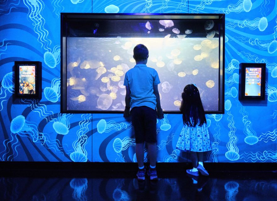 Melbourne: SEA LIFE Aquarium Entrance Ticket - Antarctic Penguins and the Ice-Style Viewing Experience