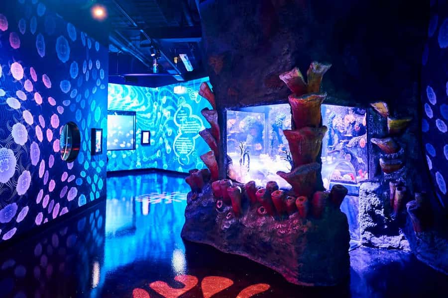 Melbourne: SEA LIFE Aquarium Entrance Ticket - Timing, Route, and How Long It Really Takes