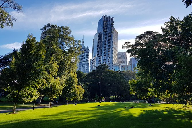 Melbourne Sights & Sounds Private Tour - The Private Guide and Vehicle: What Comfort Buys You in Melbourne