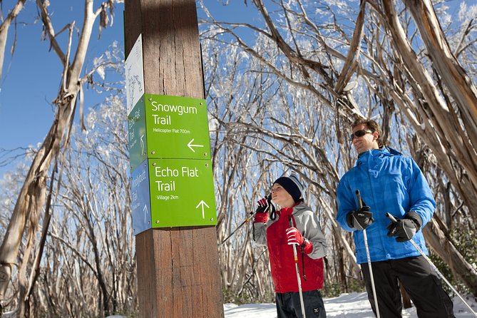 Melbourne Snow Trip to Lake Mountain with Chocolates & Waterfalls - Steavenson Falls: A Short, Guided Walk to a Big Drop