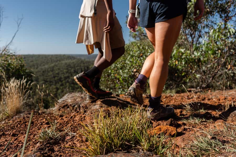 Melbourne to Adelaide: 2-Day Overland Explorer Tour - The drive into Adelaide: farmland time and a late CBD arrival