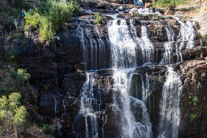 Melbourne to Adelaide 3-Day Great Ocean Road & Grampians Tour - Comfort, Pace, and How to Not Feel Rushed
