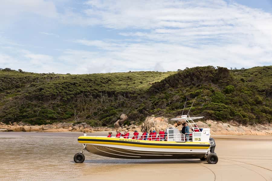 Melbourne: Wilsons Promontory Morning Wilderness Cruise - Key highlights worth planning around