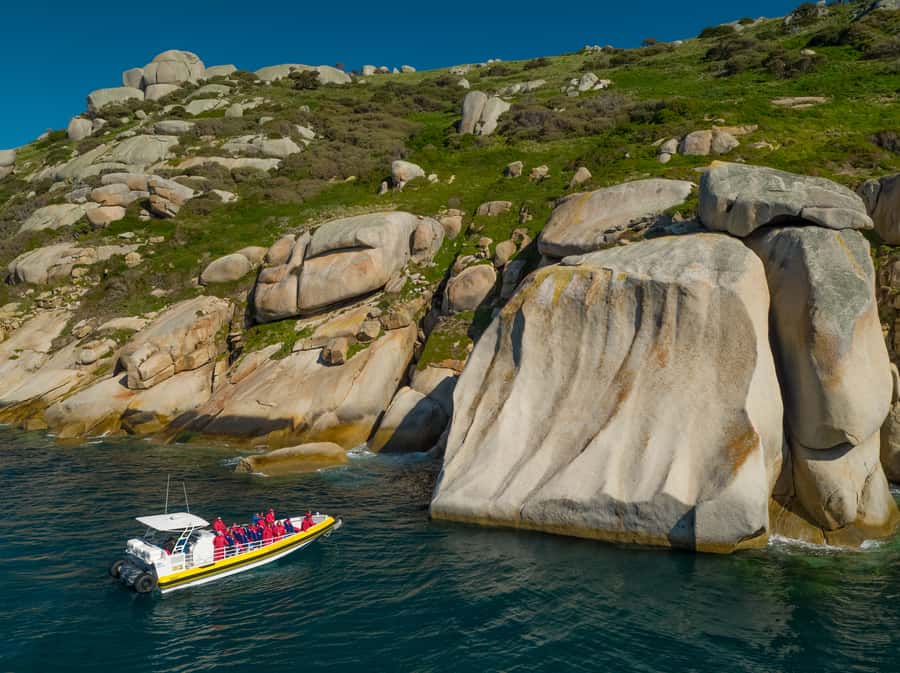 Melbourne: Wilsons Promontory Morning Wilderness Cruise - Wilsons Promontory, but with a morning cruise twist from Melbourne