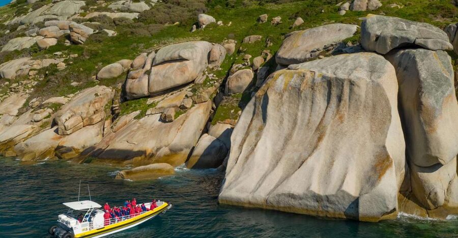 Melbourne: Wilsons Promontory Morning Wilderness Cruise - Guides, safety, and why the ride feels organized instead of chaotic