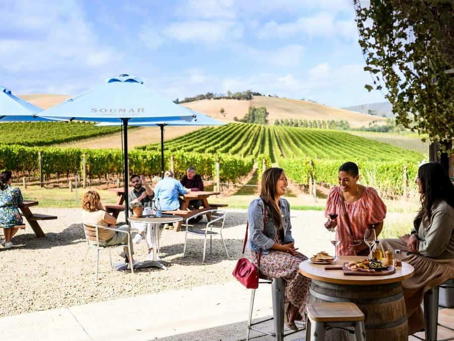 Melbourne: Yarra Valley Half-Day Wine Tour - The Comfortable Transport That Makes a Half-Day Feel Worth It