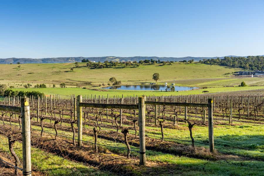 Melbourne: Yarra Valley Wine, Cider, Gin, Beer, & Choc Tour - Why This Yarra Valley Mix-and-Match Tour Feels Different