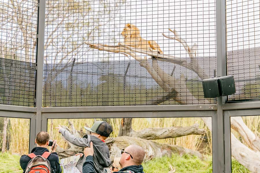 Melbourne Zoo: 1-Day Entry Ticket - Food, Picnic Options, and Costs You Can Plan For