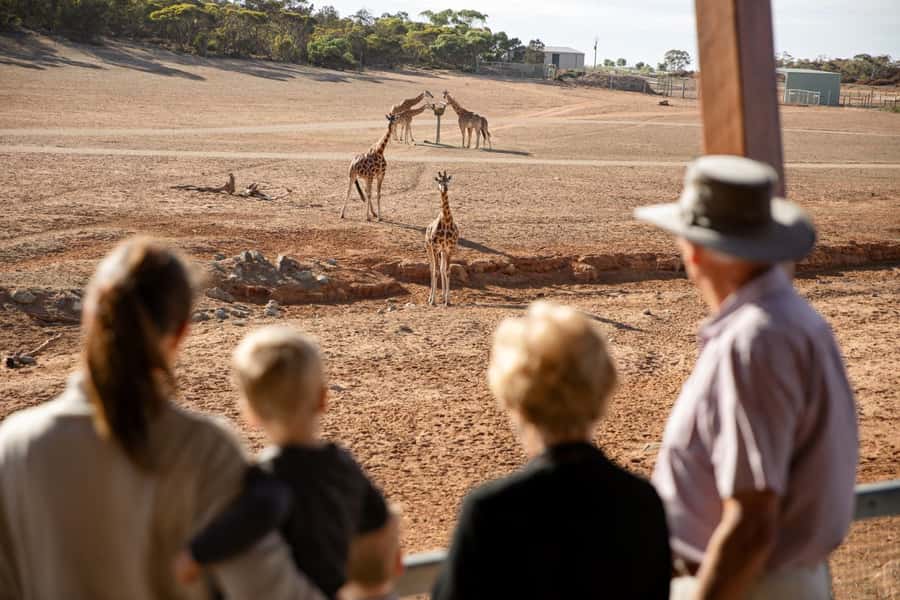 Monarto Safari Park: General Admission Tickets - The Zu-loop shuttle bus: your best tool for seeing more, without burning out