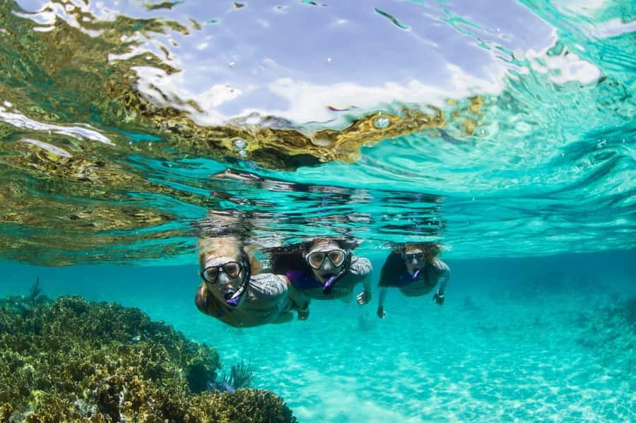 Mooloolaba: Snorkel with Turtles Mudjimba Island - Quick highlights you will care about