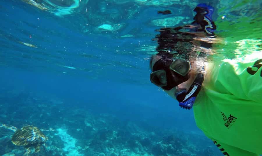 Mooloolaba: Snorkel with Turtles Mudjimba Island - Guides and safety: why $63 feels fair