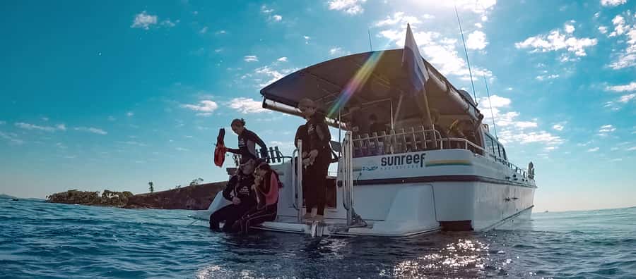 Mooloolaba: Snorkel with Turtles Mudjimba Island - From The Wharf to Mudjimba Island: the 15-minute ride
