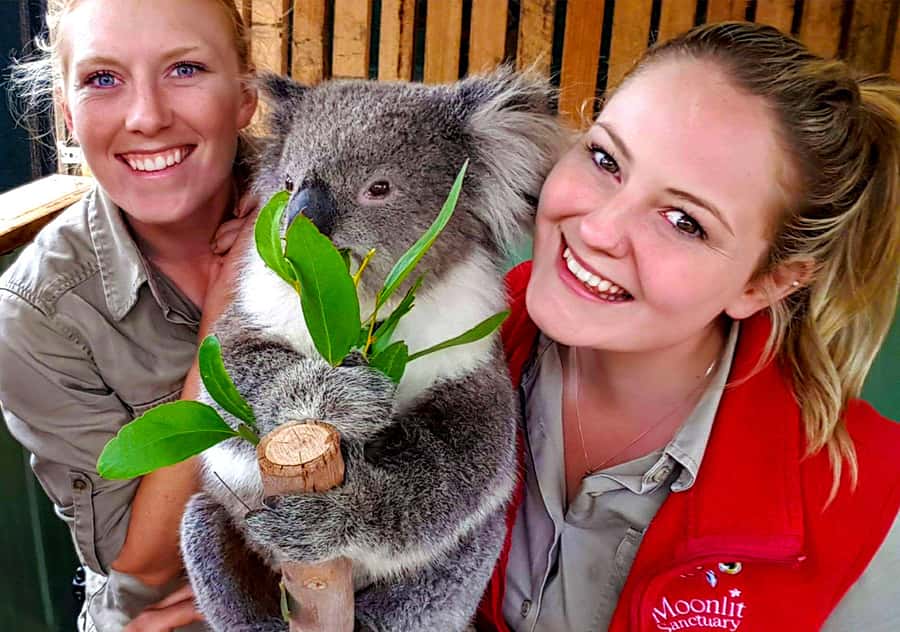 Moonlit Sanctuary Conservation Park Entry Ticket - Key things to know before you go