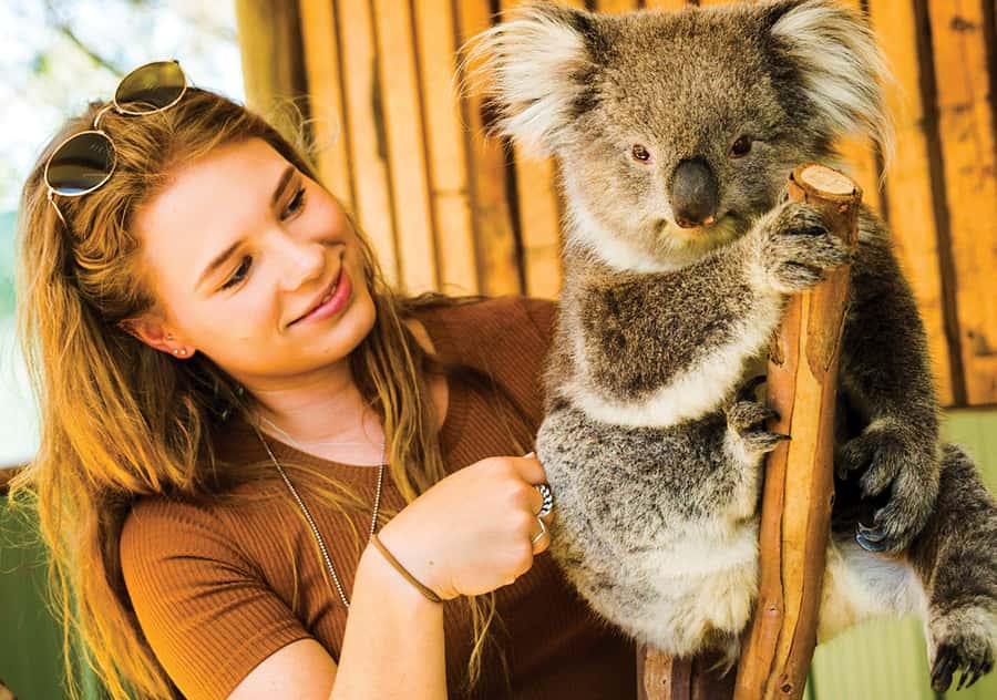 Moonlit Sanctuary Conservation Park Entry Ticket - Keeper Talks and Wildlife Shows, Why They Matter More Than You Think