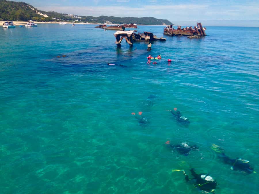 Moreton Island Day-Trip to Scuba Dive and More - Intro vs certified scuba experience: picking the right option