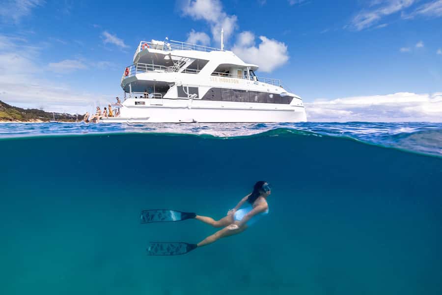 Moreton Island: Dolphin & Tangalooma Wrecks Snorkel Cruise - Key highlights worth your attention