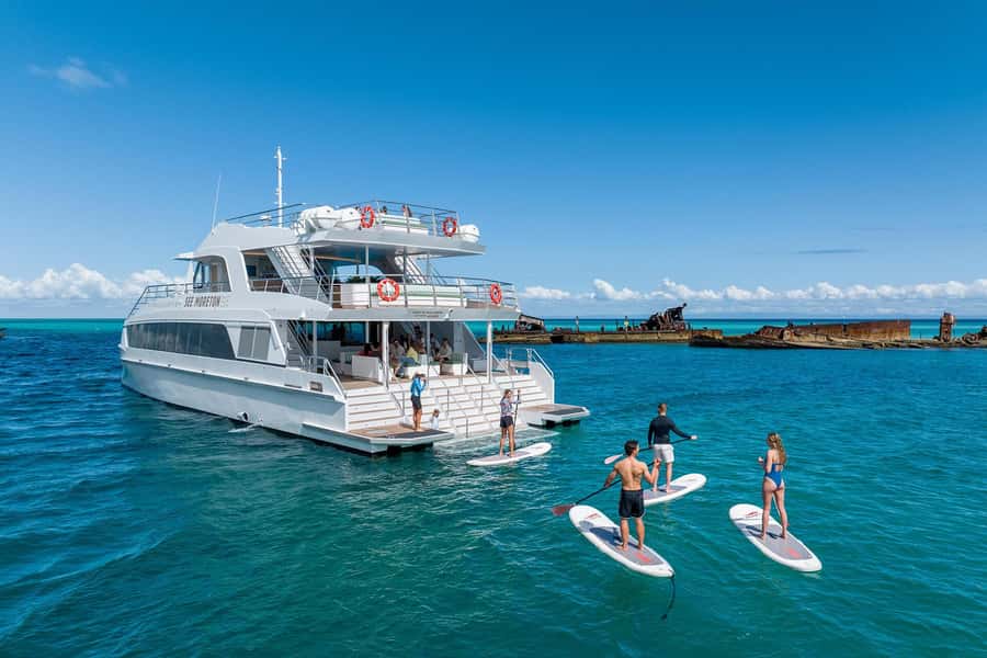 Moreton Island: Dolphin & Tangalooma Wrecks Snorkel Cruise - Should you book this Moreton Island dolphin and wrecks cruise?