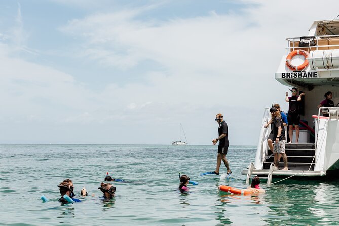 Moreton Island Eco Marine Safari Cruise and Snorkel - Key things to know before you go