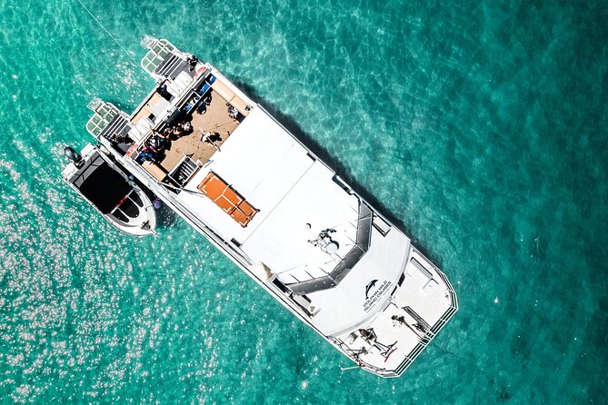 Moreton Island Eco Marine Safari Cruise and Snorkel - The guided snorkel through the Tangalooma Wrecks, and what to expect