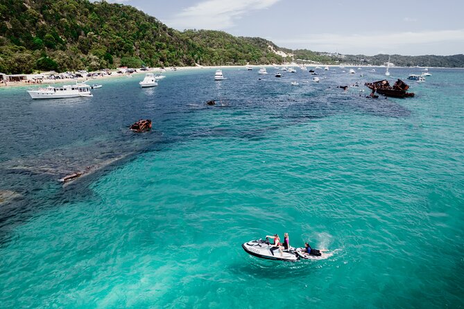 Moreton Island Eco Marine Safari Cruise and Snorkel - Group size, comfort, and the crew vibe that keeps coming up