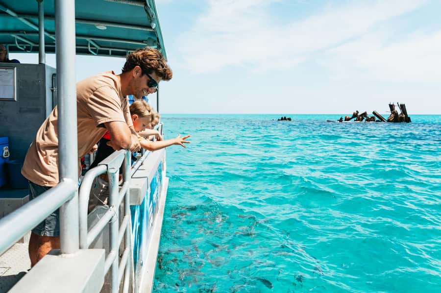 Moreton Island: Marine Discovery Cruise & Dolphin Feeding - The Tangalooma day access pass, where your day actually resets