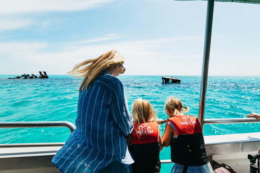 Moreton Island: Marine Discovery Cruise & Dolphin Feeding - Marine Discovery Cruise: how to set expectations for turtles, dugongs, and rays