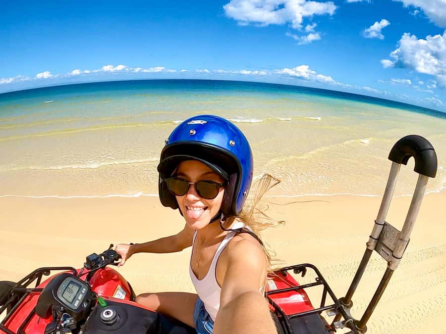 Moreton Island: Tangalooma ATV Quad Bike & Dolphin Feeding - Key highlights at a glance