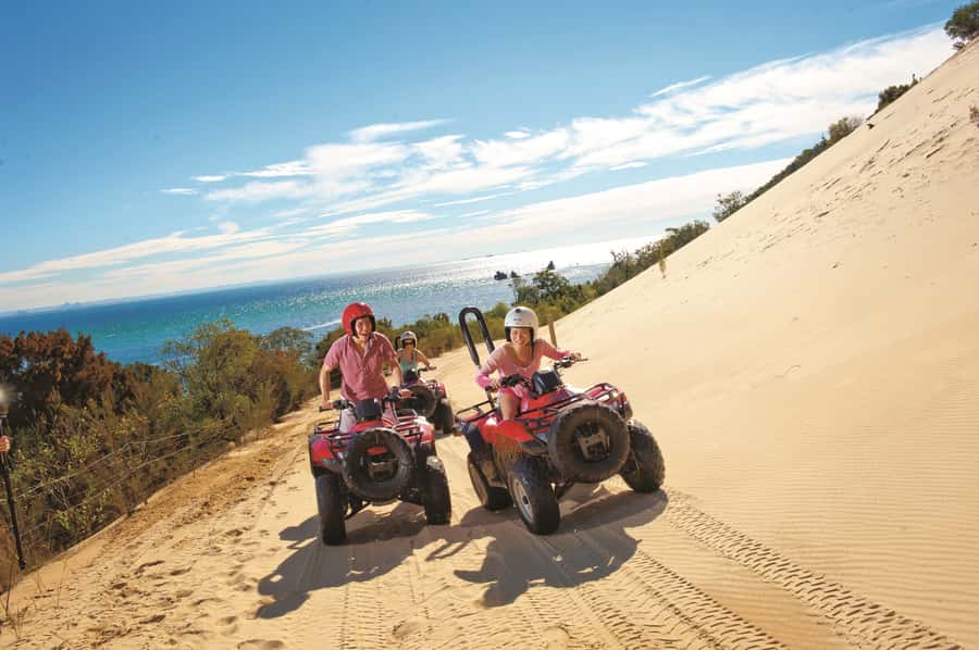 Moreton Island: Tangalooma ATV Quad Bike & Dolphin Feeding - Should you book this ATV quad bike and dolphin feeding day trip?