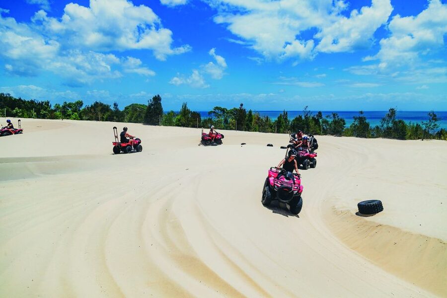 Moreton Island: Tangalooma ATV Quad Bike & Dolphin Feeding - Who should book this Moreton Island day trip