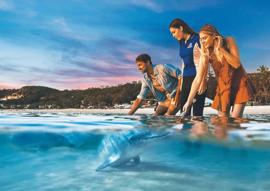 Moreton Island: Tangalooma ATV Quad Bike & Dolphin Feeding - Resort day pass: pools, beach time, and practical facilities