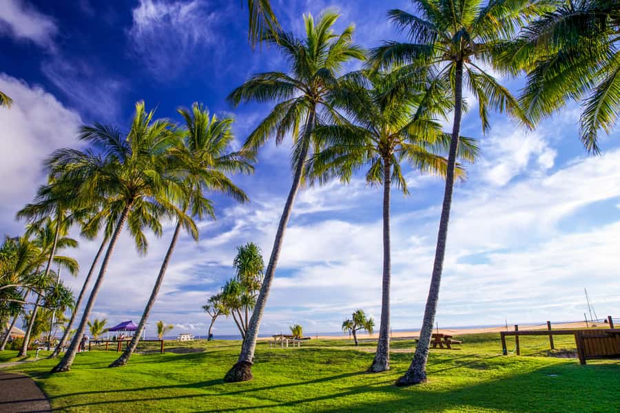 Moreton Island: Tangalooma Day Trip & Whale Watching Cruise - Should you book the Moreton Island day trip and whale watch?