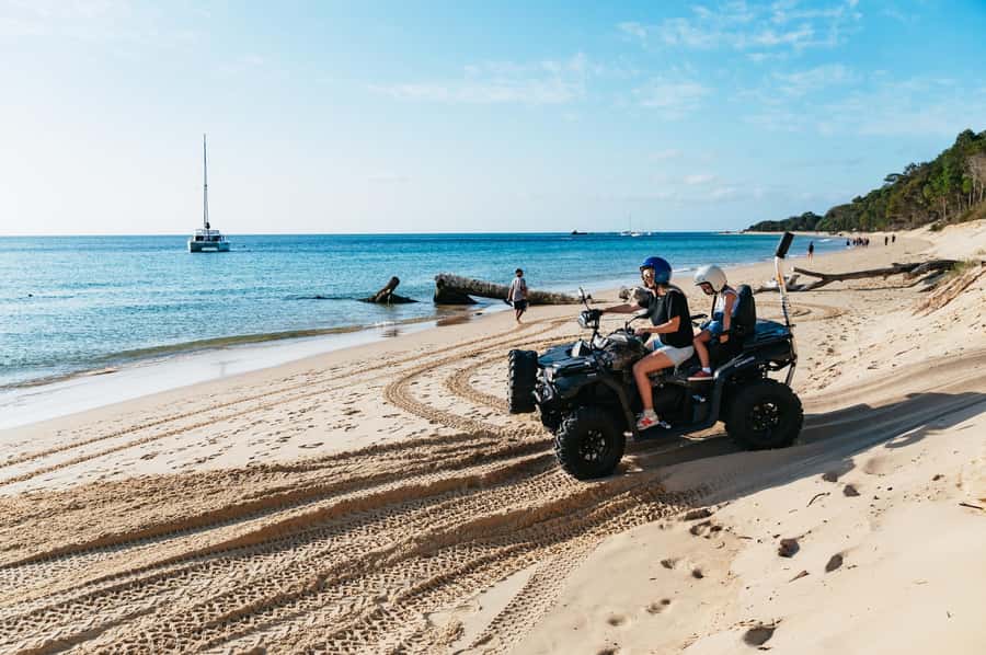 Moreton Island: Tangalooma Day Trip with ATV Quad Bike Tour - Eco Centre and the 3:15 Dolphins Moment: A Calm Ending to an Adrenaline Day