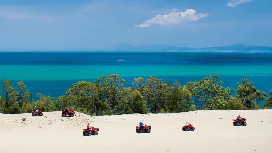 Moreton Island: Tangalooma Day Trip with ATV Quad Bike Tour - Your Day Plan in Plain English: When to Do What