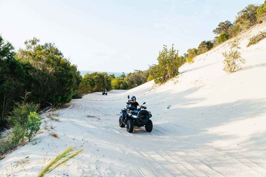 Moreton Island: Tangalooma Day Trip with ATV Quad Bike Tour - Price and Value Check: Why $119 Often Feels Like a Smart Buy