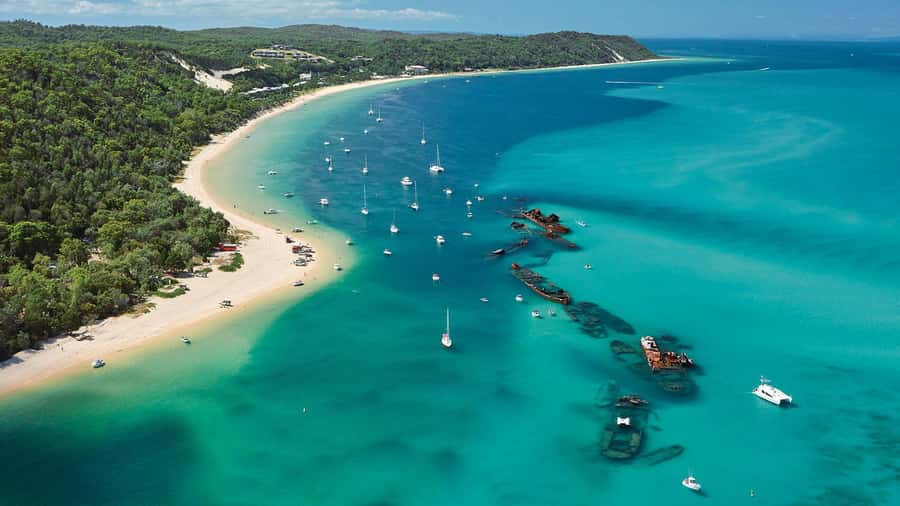 Moreton Island: Tangalooma Day Trip with ATV Quad Bike Tour - Who This Moreton Island ATV Day Trip Fits Best