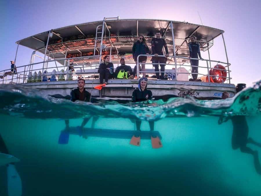 Moreton Island: Tangalooma Day Trip with Snorkeling Tour - Key Points Worth Noting