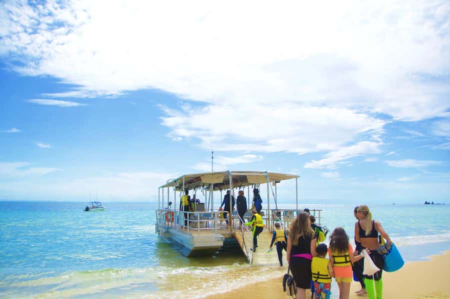 Moreton Island: Tangalooma Day Trip with Snorkeling Tour - The Shipwreck Snorkel at the Tangalooma Wrecks: What You’re Actually Signing Up For