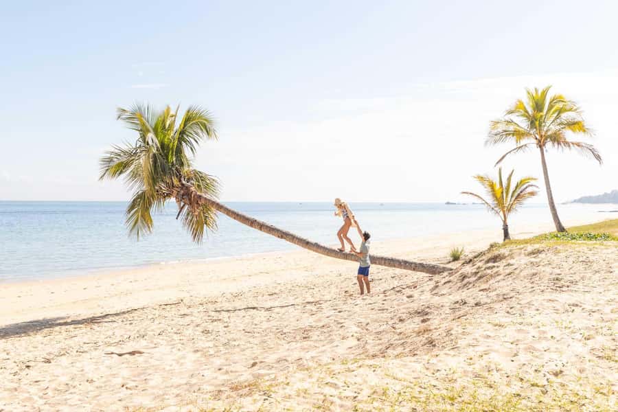 Moreton Island: Tangalooma Day Trip with Snorkeling Tour - What You Might See: Dolphins, Turtles, Dugong, and Whales