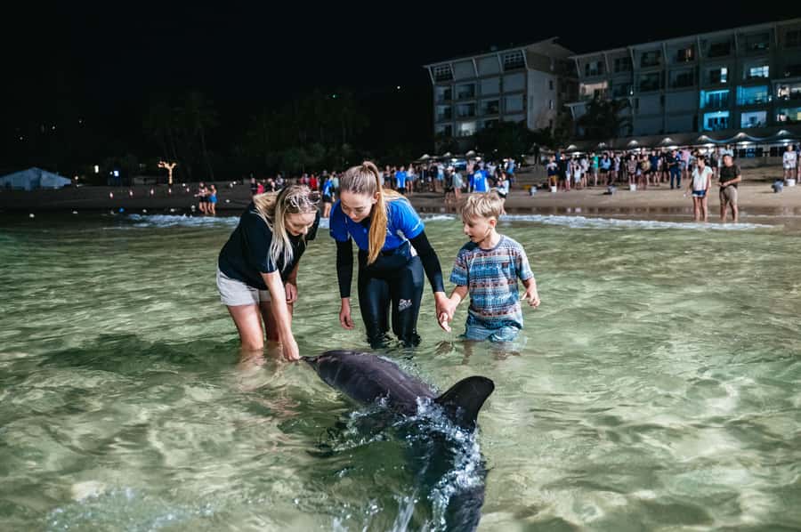 Moreton Island: Tangalooma Desert Safari and Dolphin Feeding - Key highlights you will actually care about