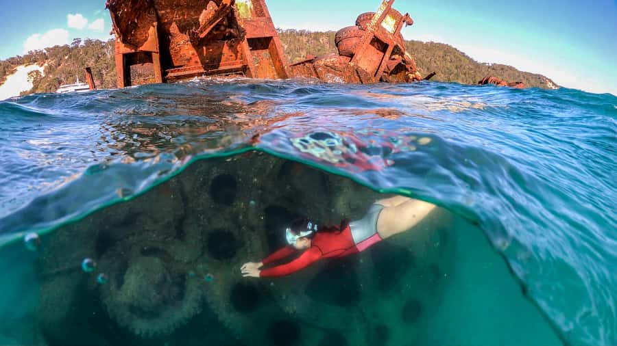 Moreton Island: Tangalooma Snorkeling Tour & Dolphin Feeding - Snorkeling the Tangalooma Wrecks: gear, boat support, and what you’ll likely spot
